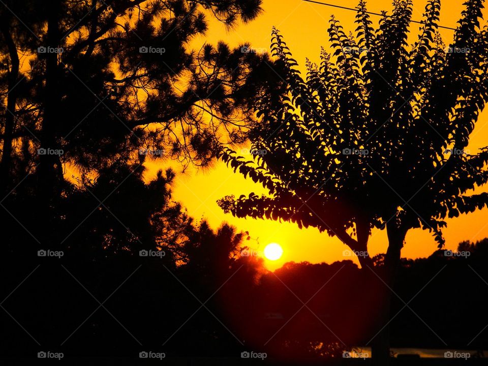 Golden sunset. Sunrise at our local golf course 