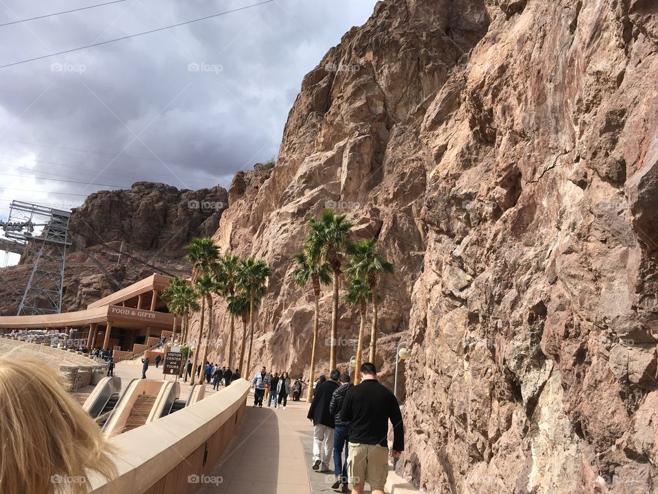 Palm trees at Hoover dam 