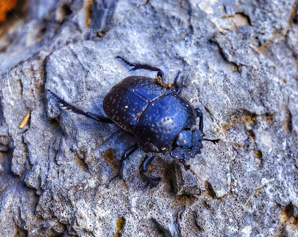 Hiking companion Amalfi coast