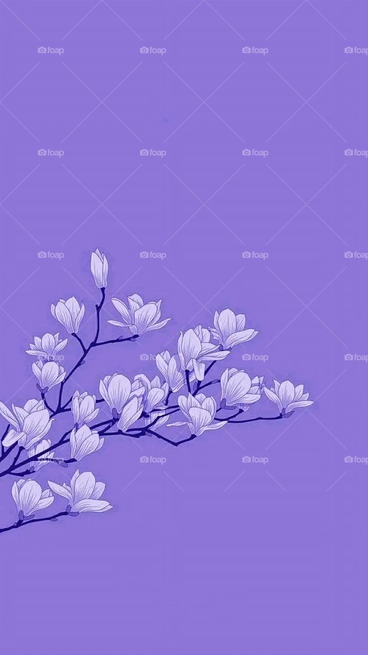 A very beautiful picture, and there is no better picture than it. There is no better picture of green herbs and colorful, red and white roses than it. Glory be to God, the natural and picturesque view, and there is no more wonderful picture than it.