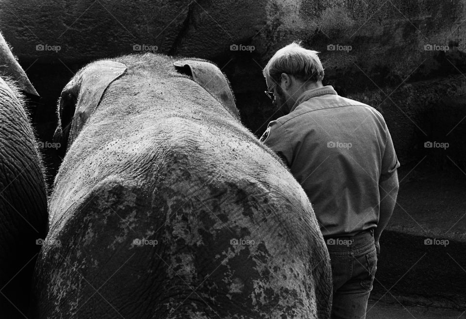 elephant helpers. elephant helpers