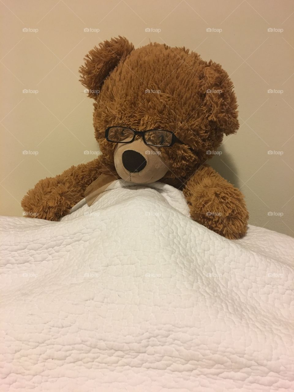 Bernard the bear tucked in bed
