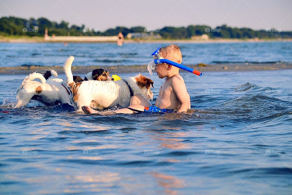 Boy playing. A boy playing with dogs