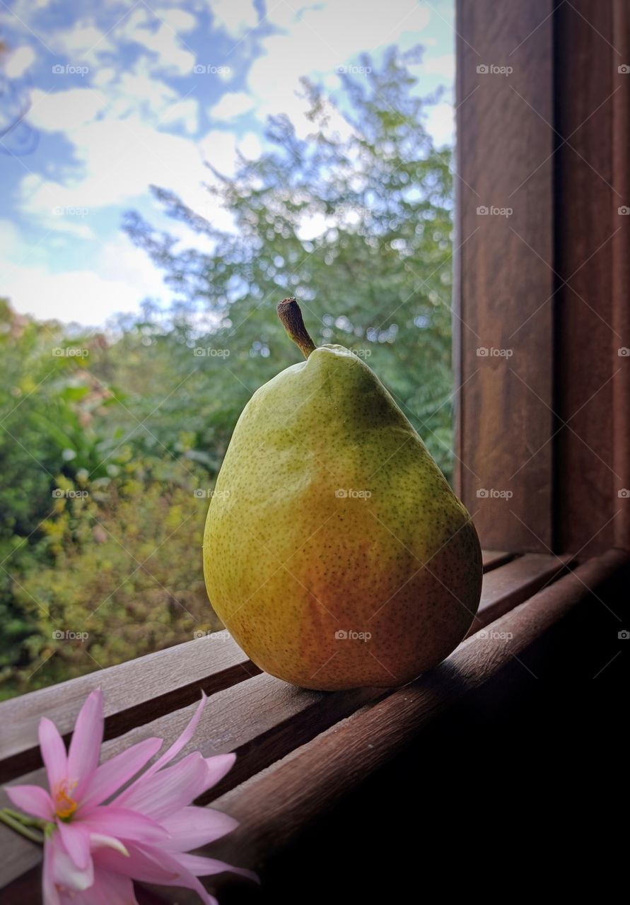 Pear in the window