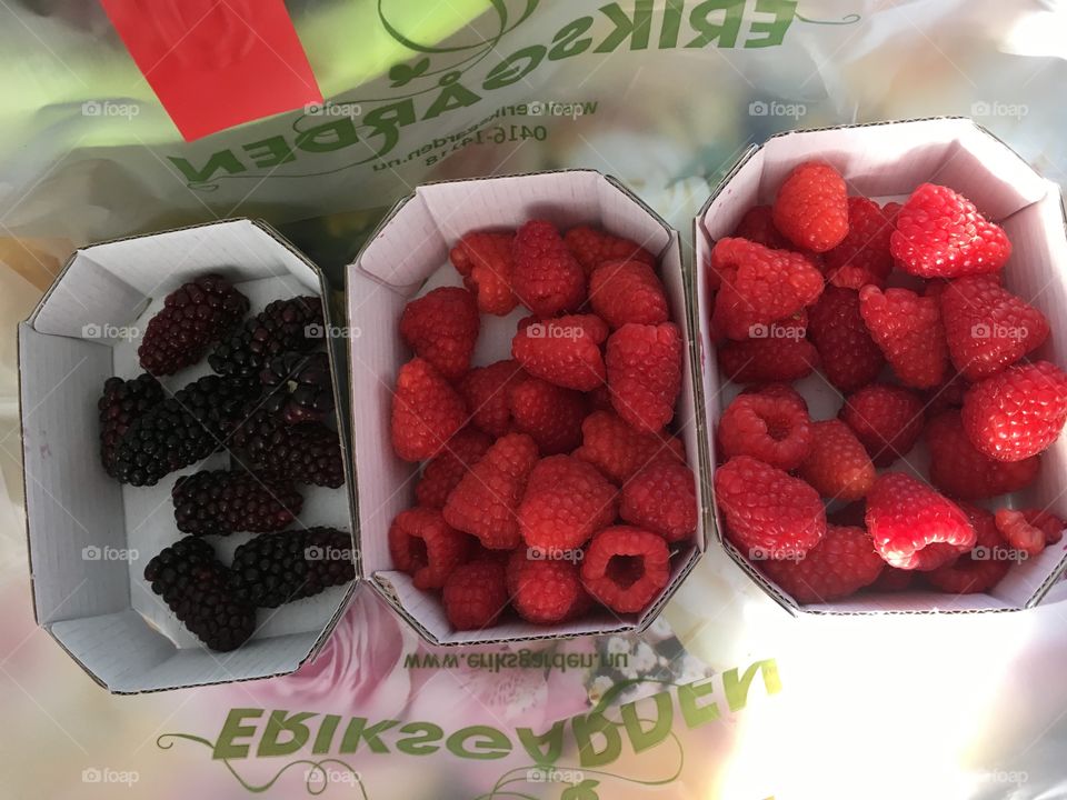 raspberries 