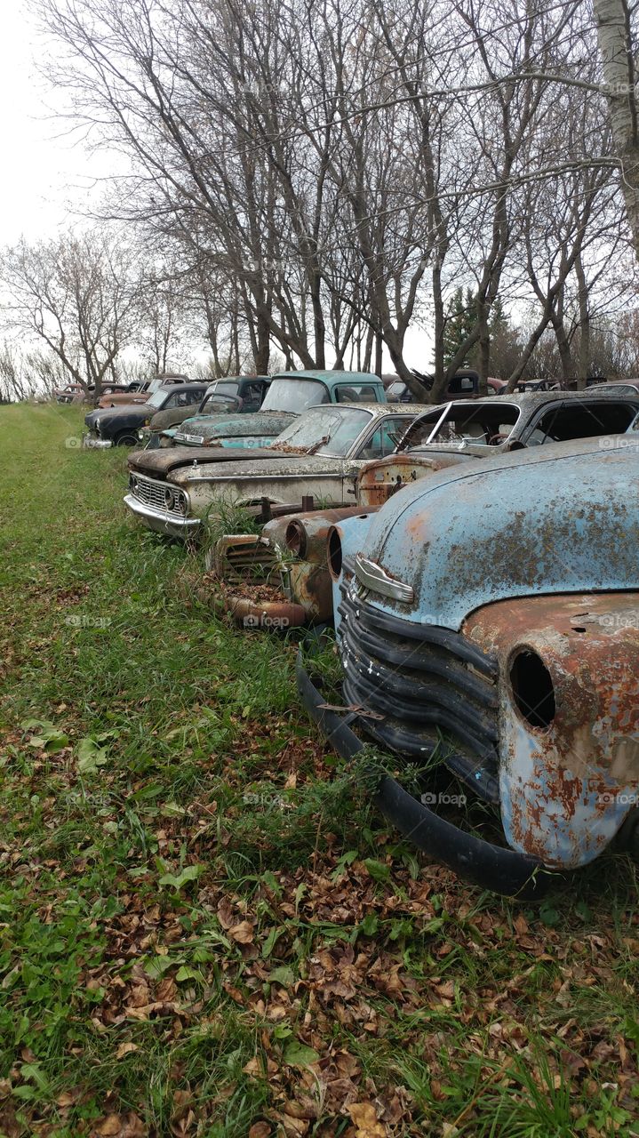 abandoned Cars