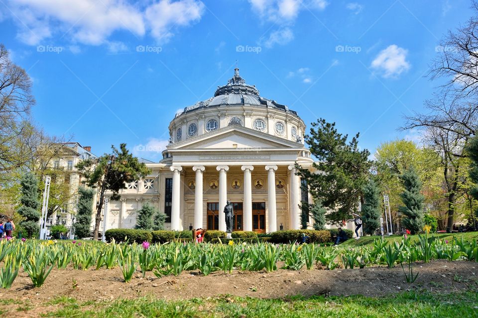 Romania Athenaeum, Bucharest