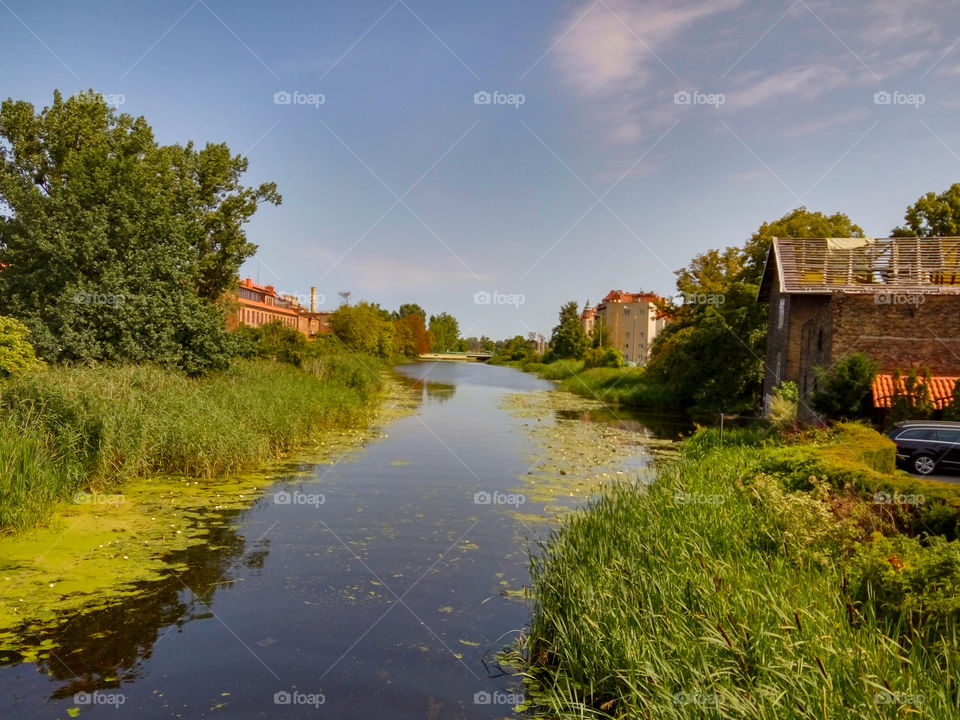 Privet in Gdańsk, Poland