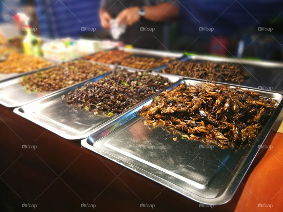 fry insects