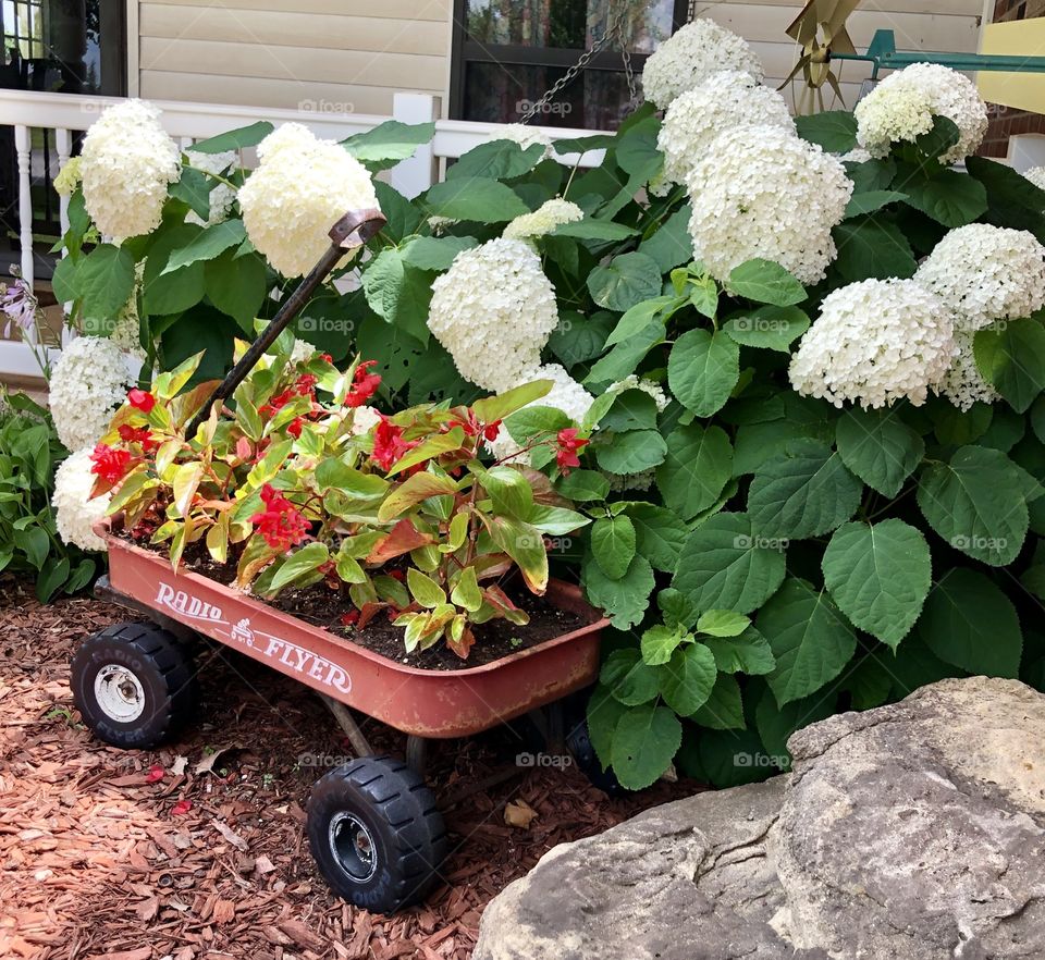 Garden Red Wagon