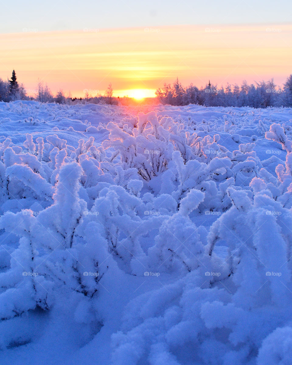 Winter, dawn, morning, winter dawn, winter morning, silence, sun, winter sun, frosty morning, frost, red, snow, frost, snowy road, frost, north, northern dawn sunset, snowflakes, color,