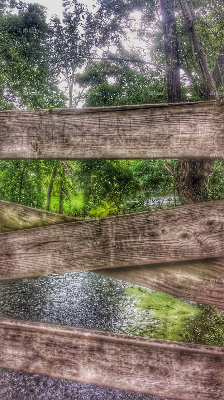 Creek View Through Bridge 