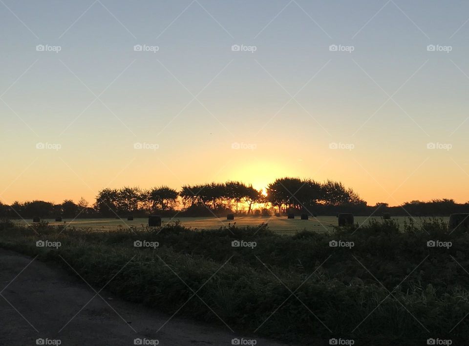 Sunrise over the tree line 