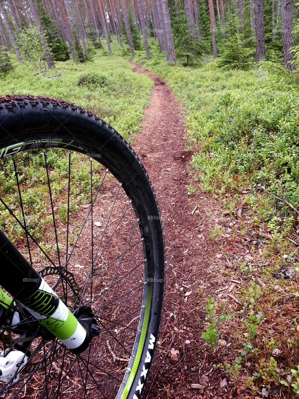 Mountain biking
