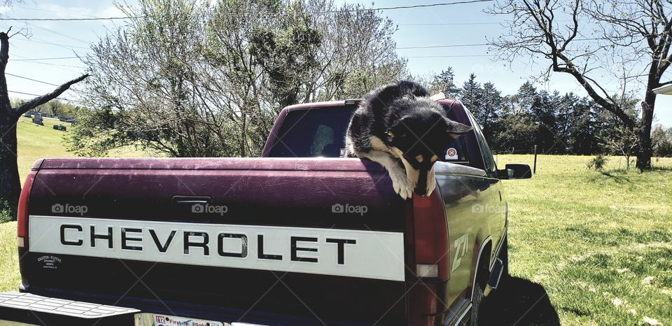 good times in the chevy