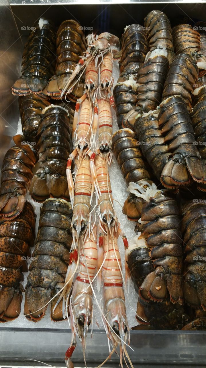 langoustines. seafood
