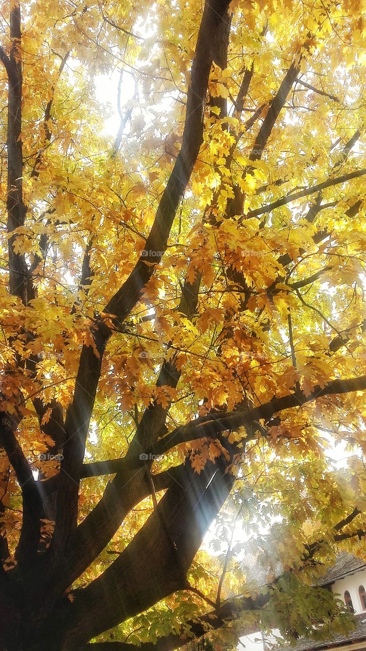 Beautiful fall day, the perfect opportunity for nature photo shoot.