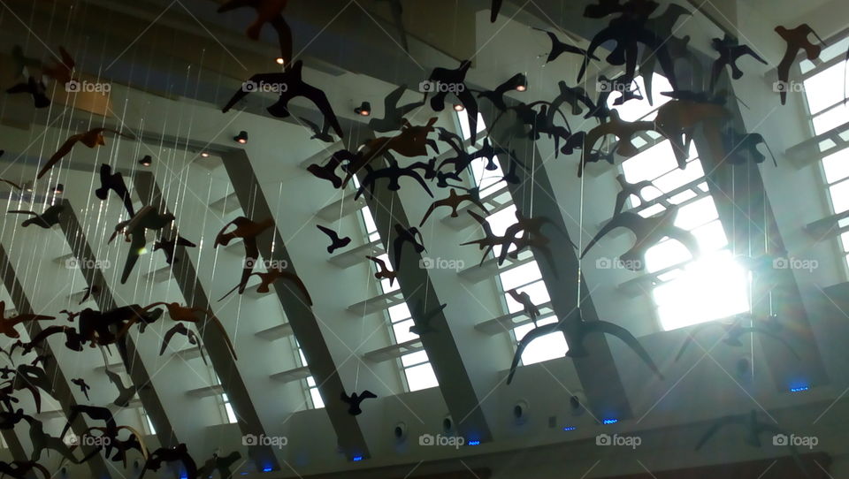 Silhouette maquette birds