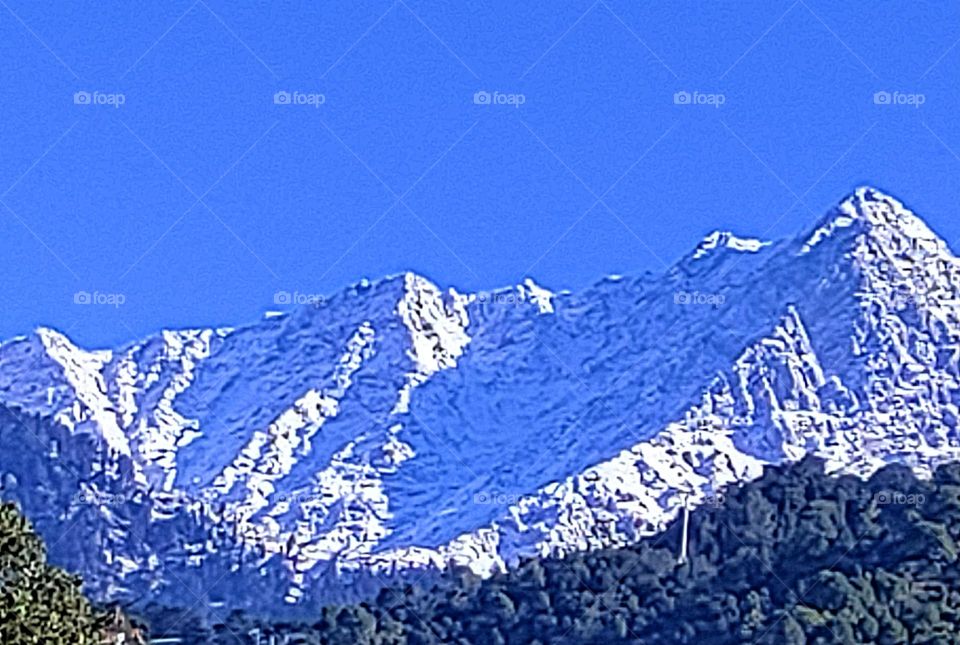 Editor's choice, photo of the week