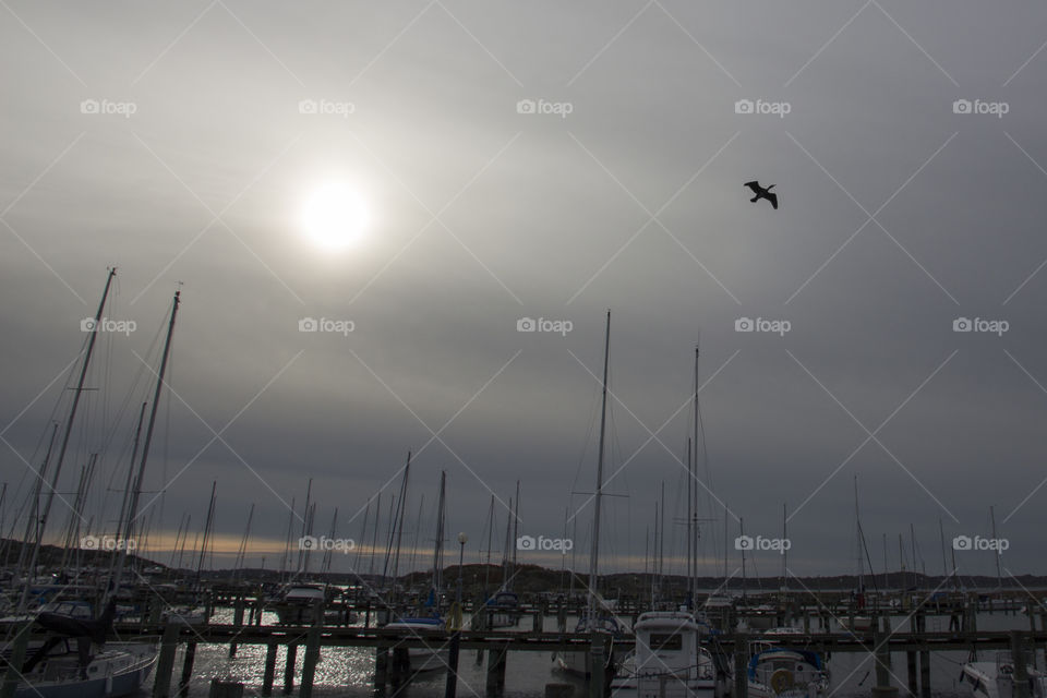 Storm clouds - marina 