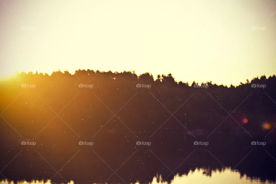 Lake