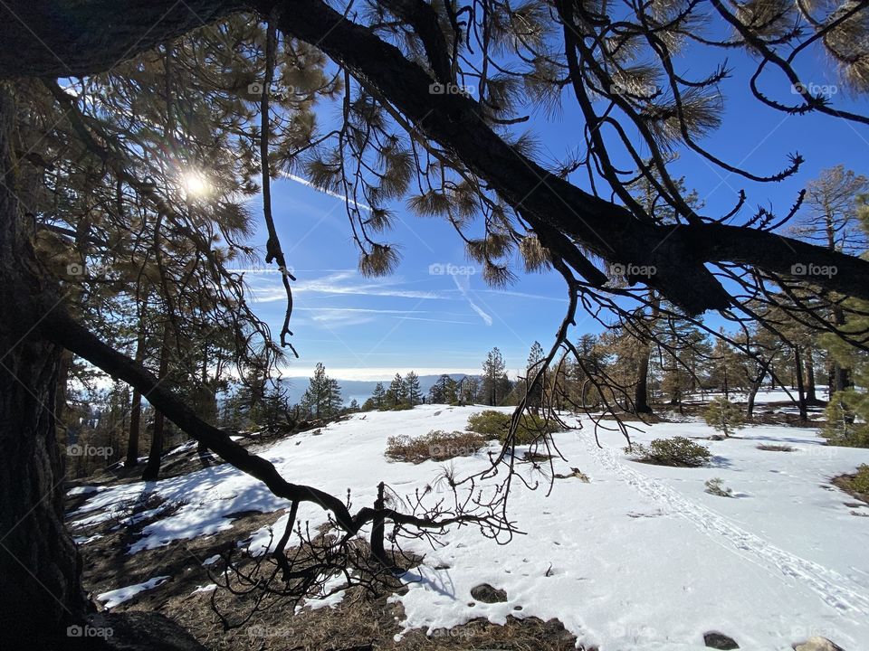 Shaver Lake