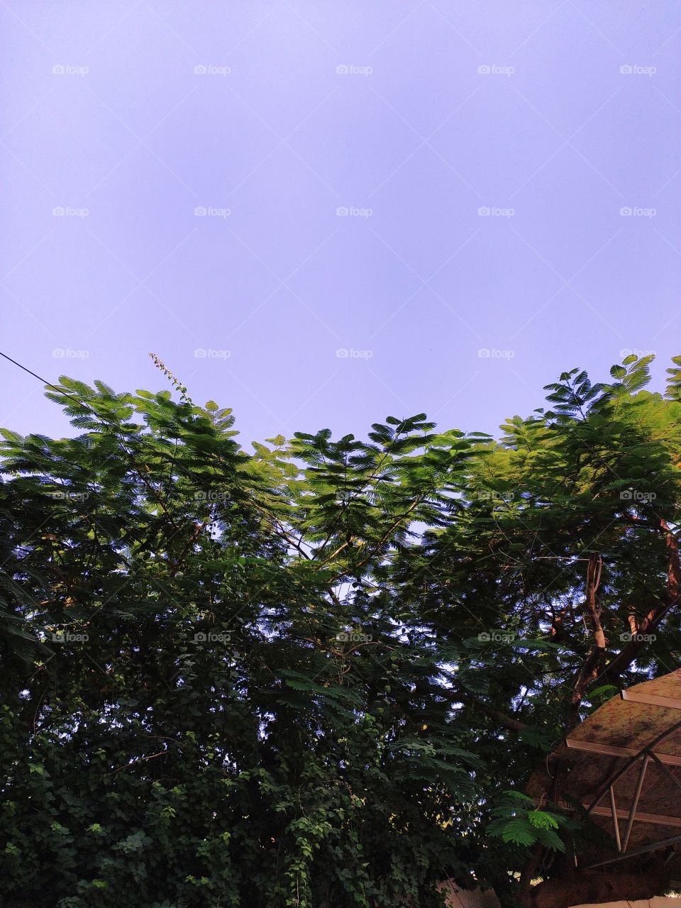 Days are becoming colder now as we are heading towards the end of October