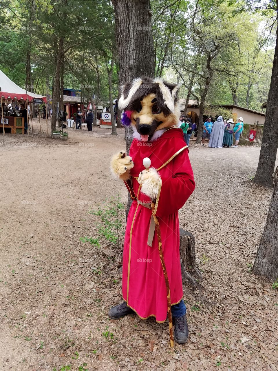 Sherwood Forest Faire pic set