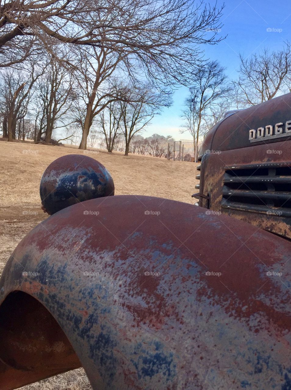 Fender & Headlight