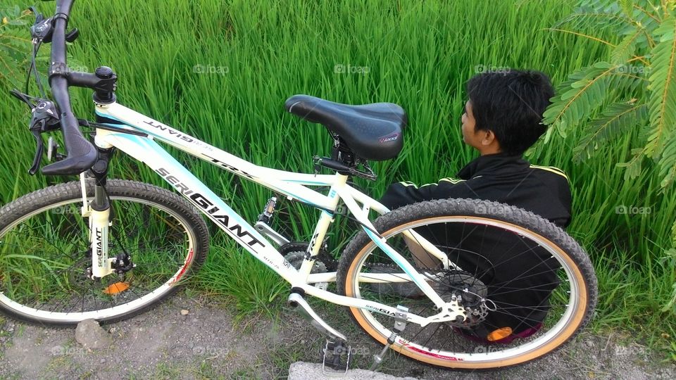 bike to the rice field