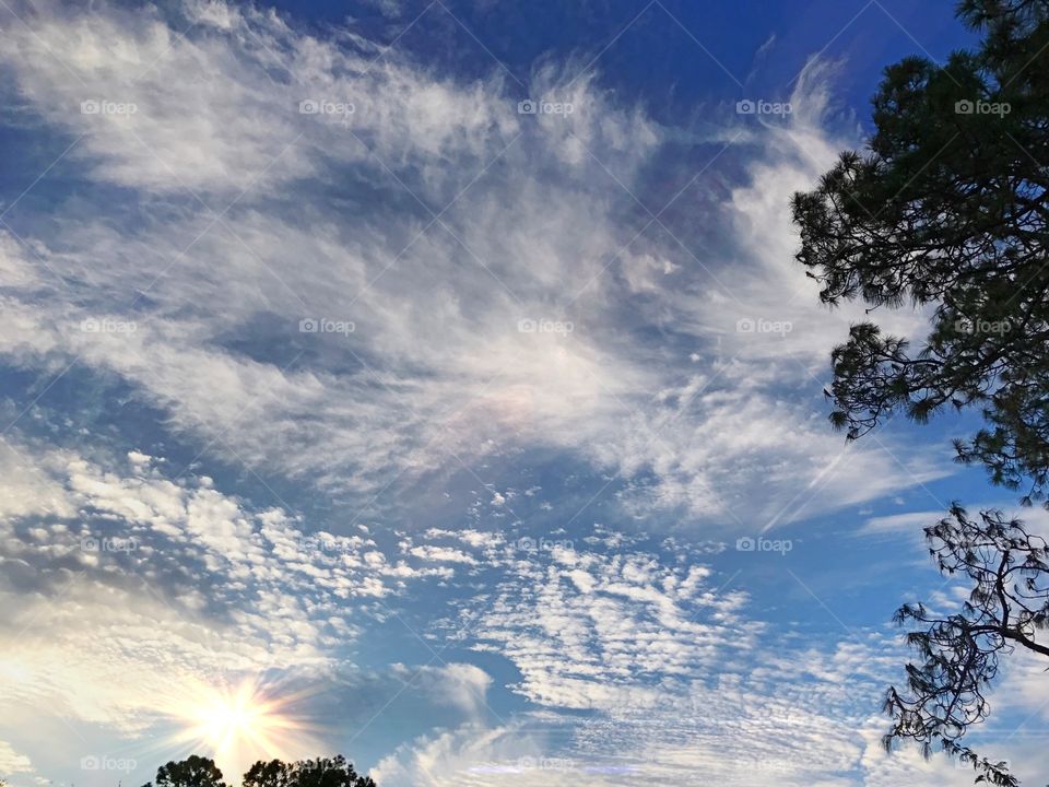 Wispy clouds at sunset.