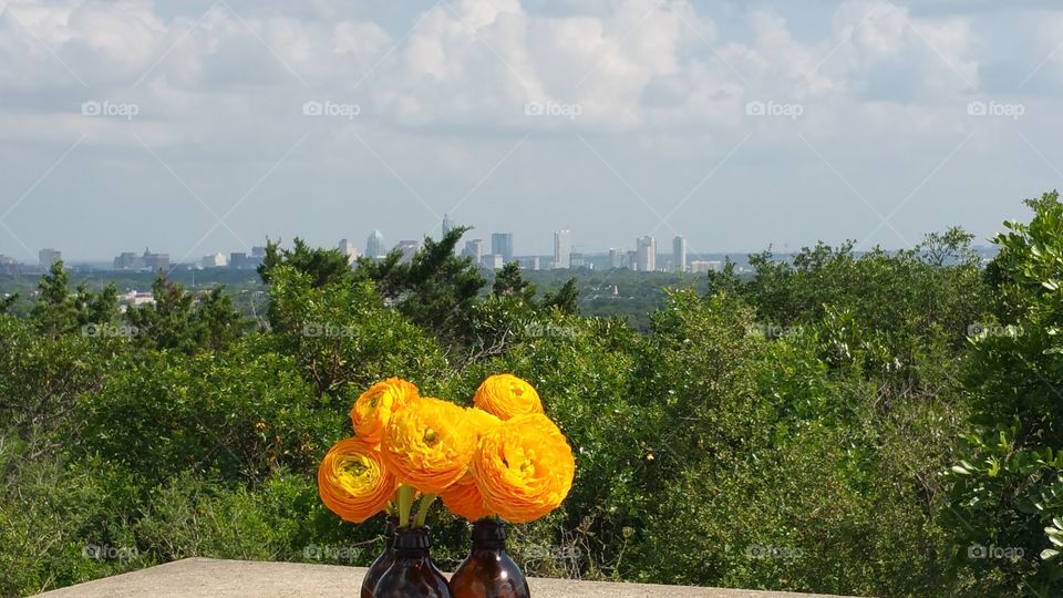 Flower Skyline. Hiking in Austin