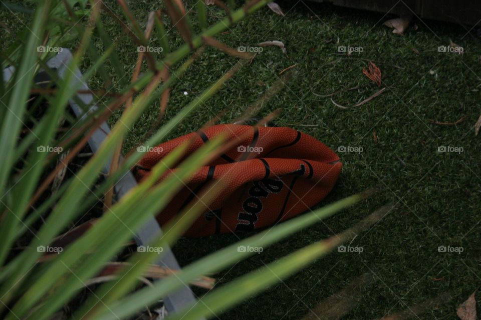 Deflated Basketball, Plant In Front - Out of focus