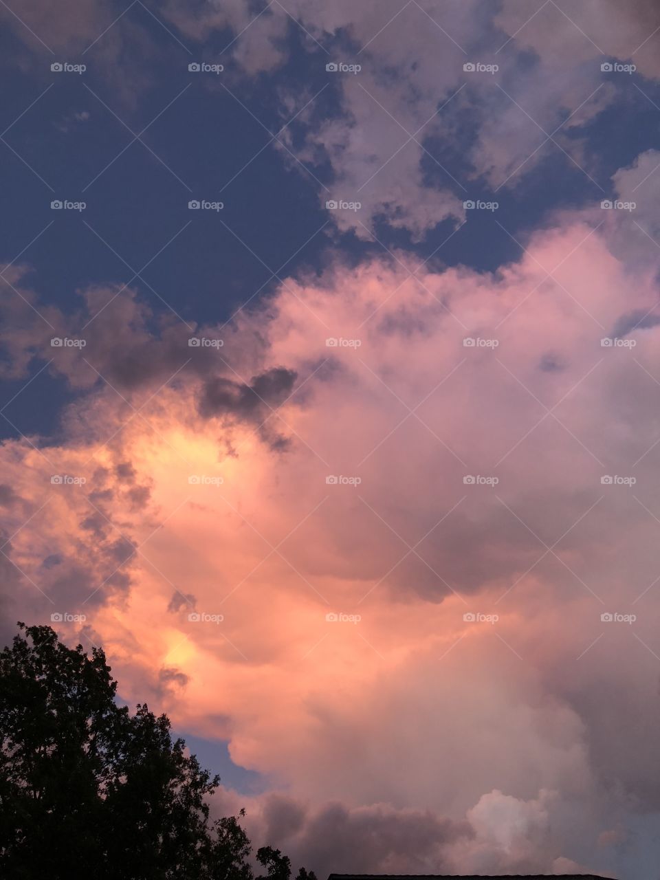 Lovely pinkish evening clouds