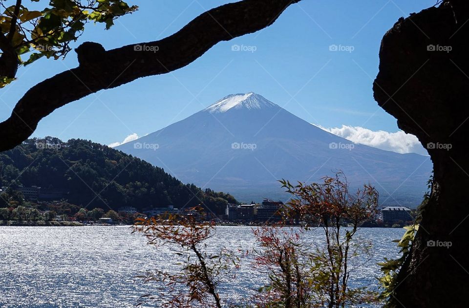 A peaceful view of Mount Fuji from the shores of Kawaguchiko. Photo taken in Kawaguchiko, Japan.