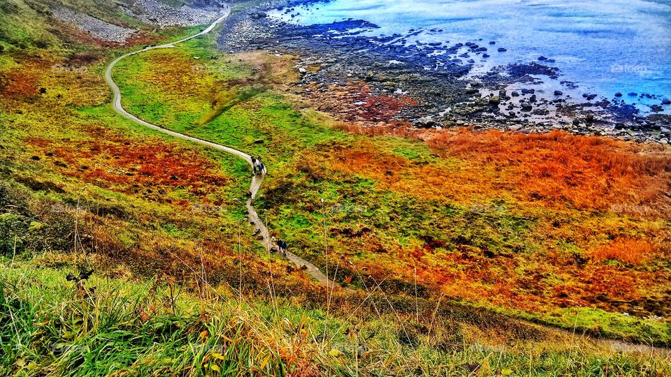 A path near Giant's Causeway from high up