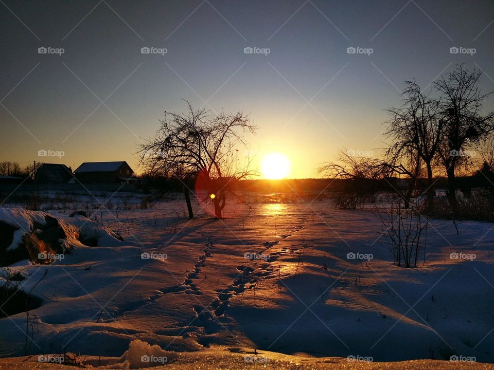 photo of snowy landskape at sunset. Snow reflects sunlight. Photo is in warm photos