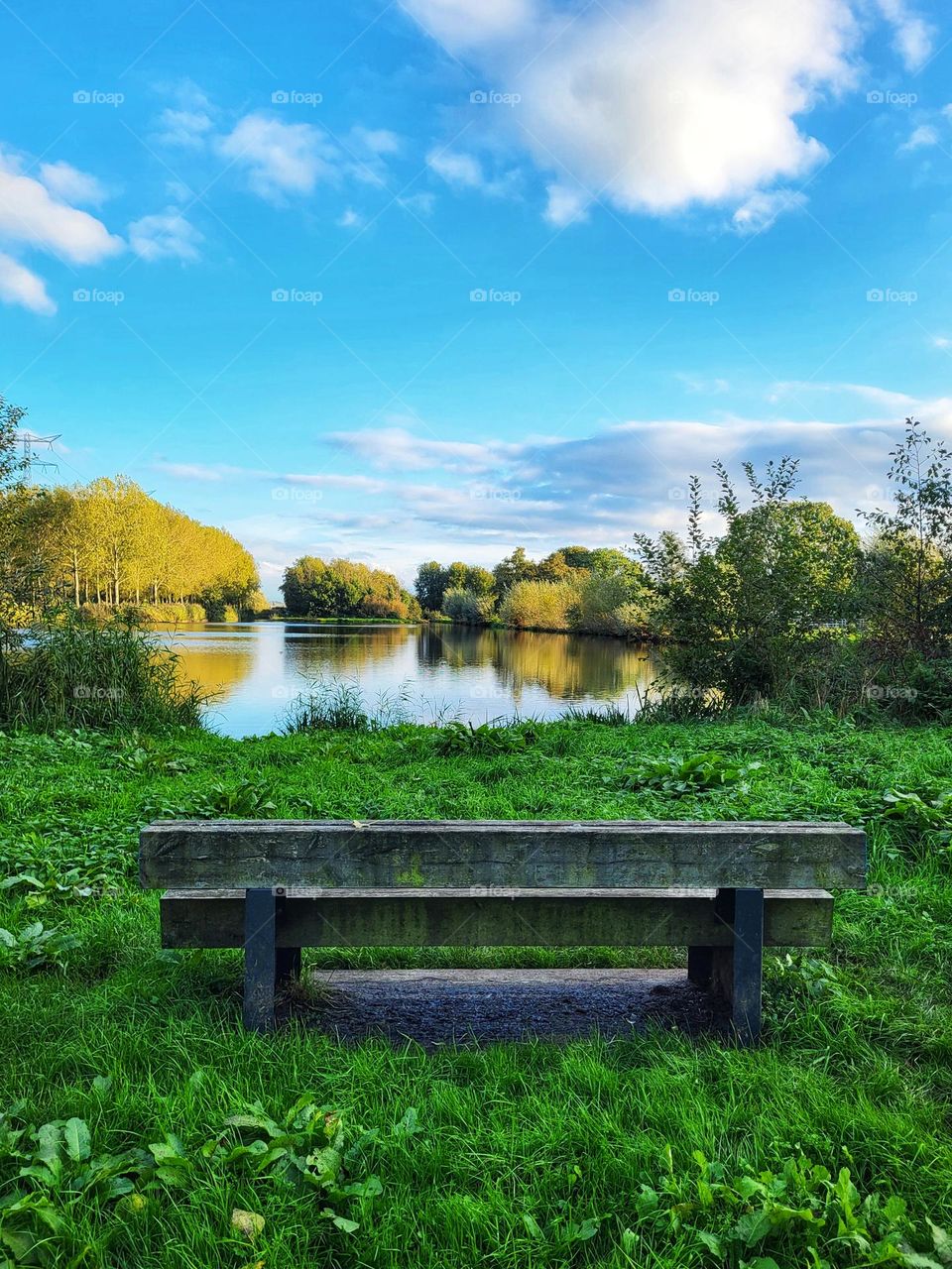 View in piece of the Netherlands