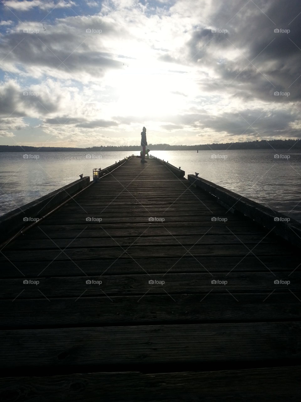 Lake Washington Dock
