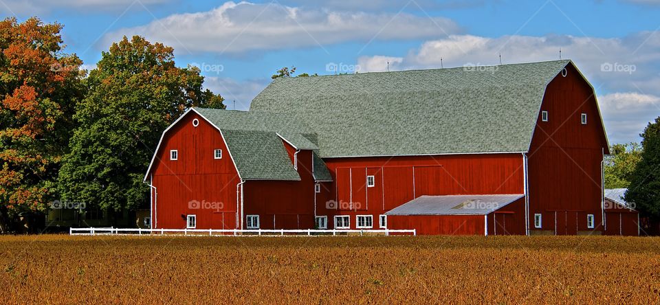 Fall at the Farm