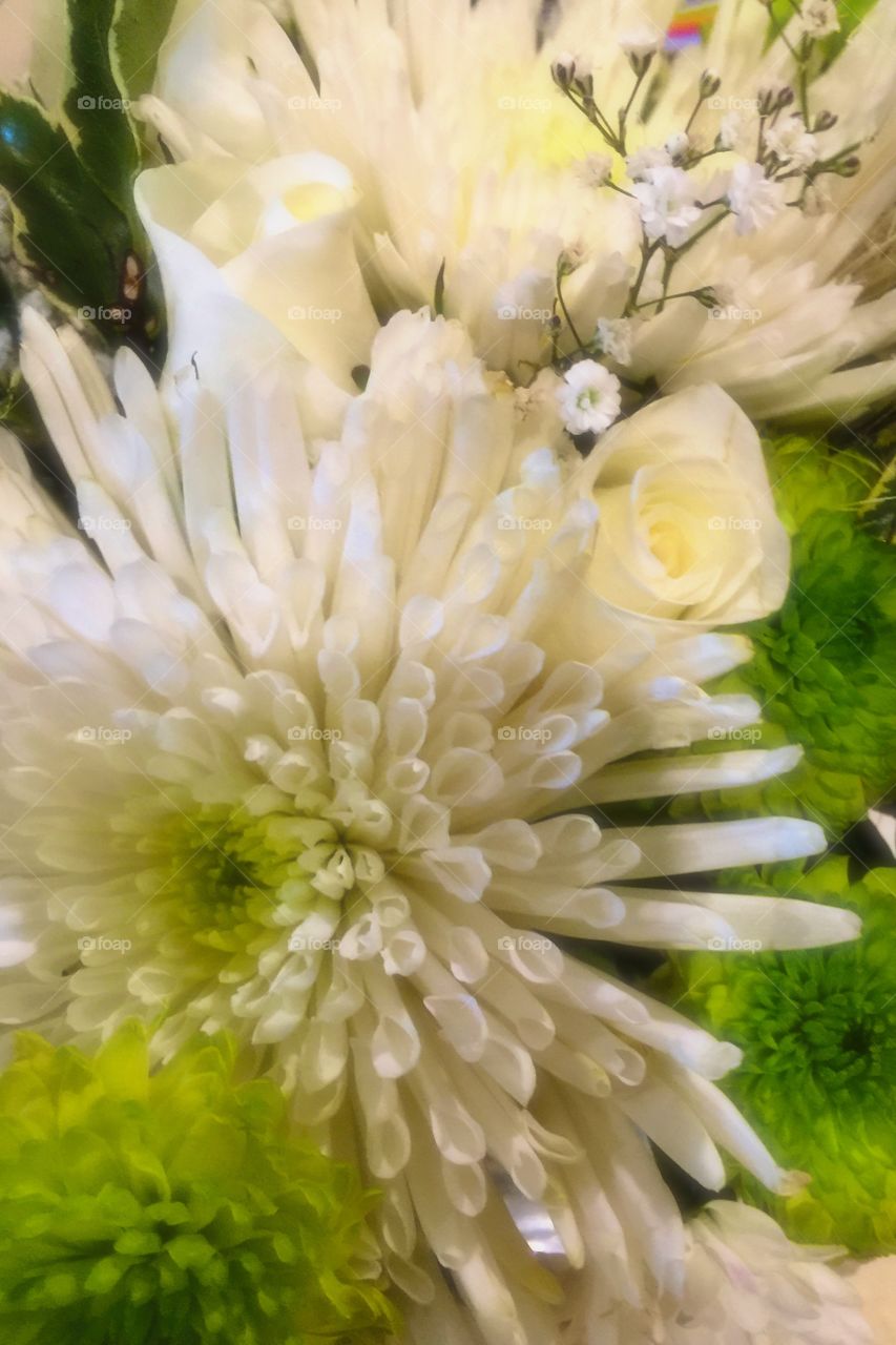 Wedding Bouquet . White flowers in small bouquet 