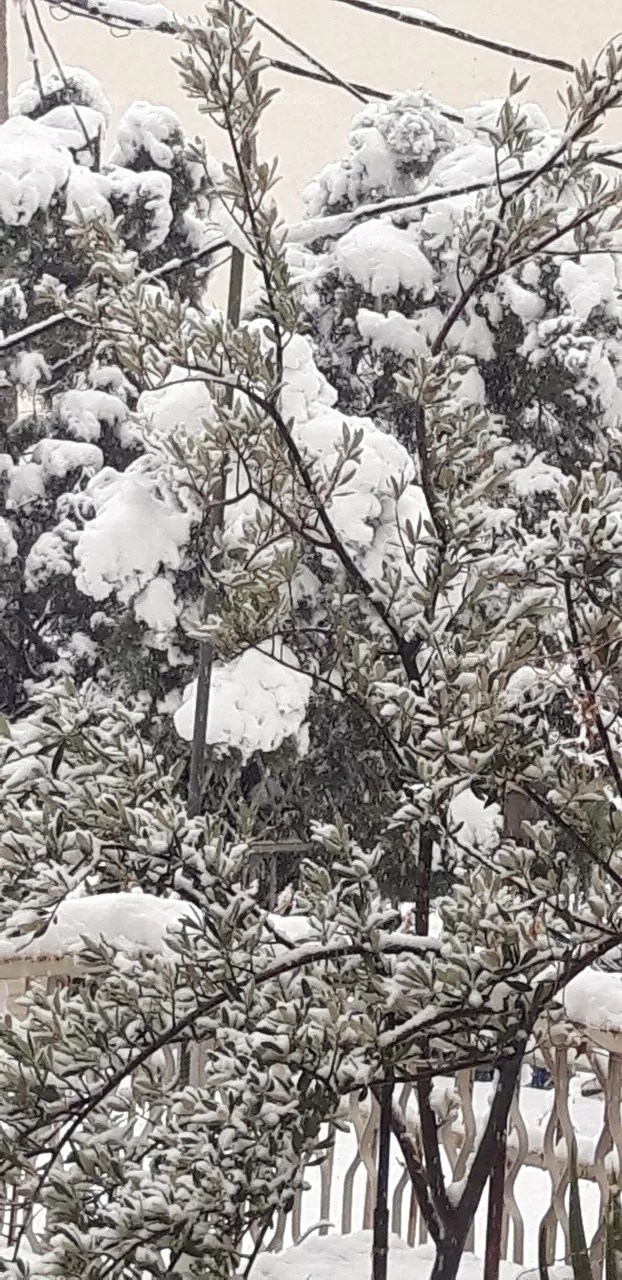 snow