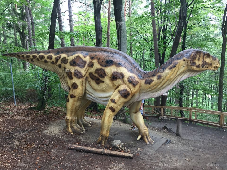 Dino Park Râşnov, Romania one of the largest dinosaur parks in Europe
