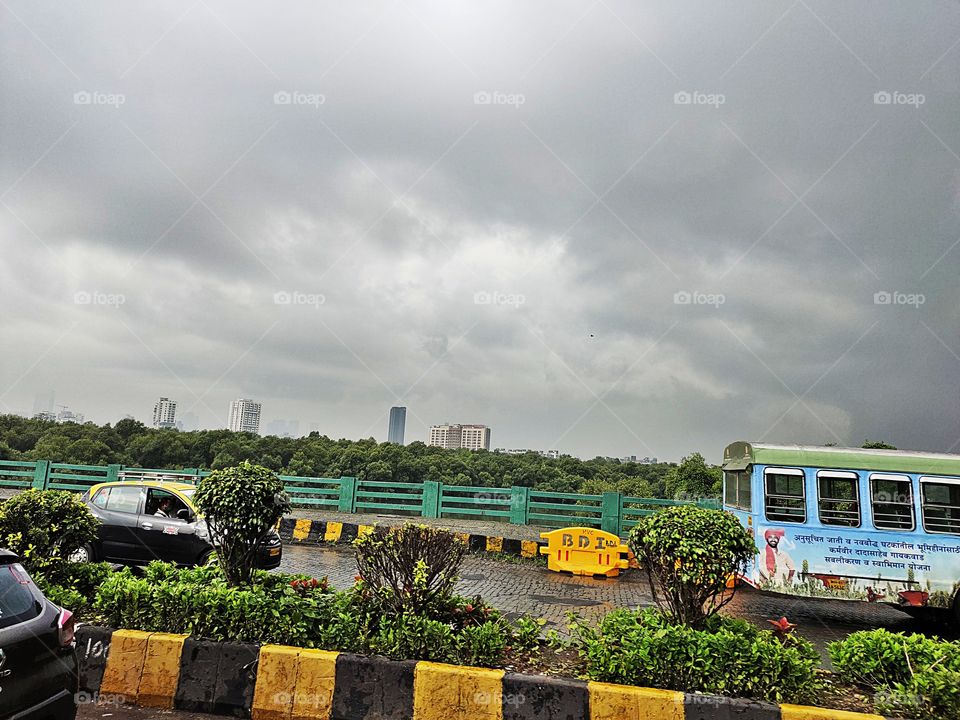 Cityscape View
pleasent Weather
🌧️🌧️💧💧
Flora