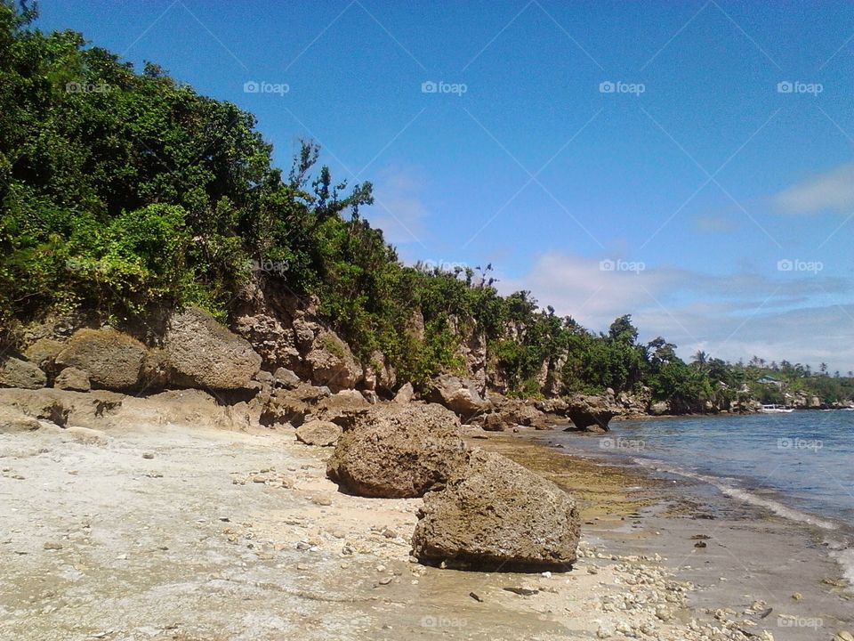 rock view on the island sorrounded with trees