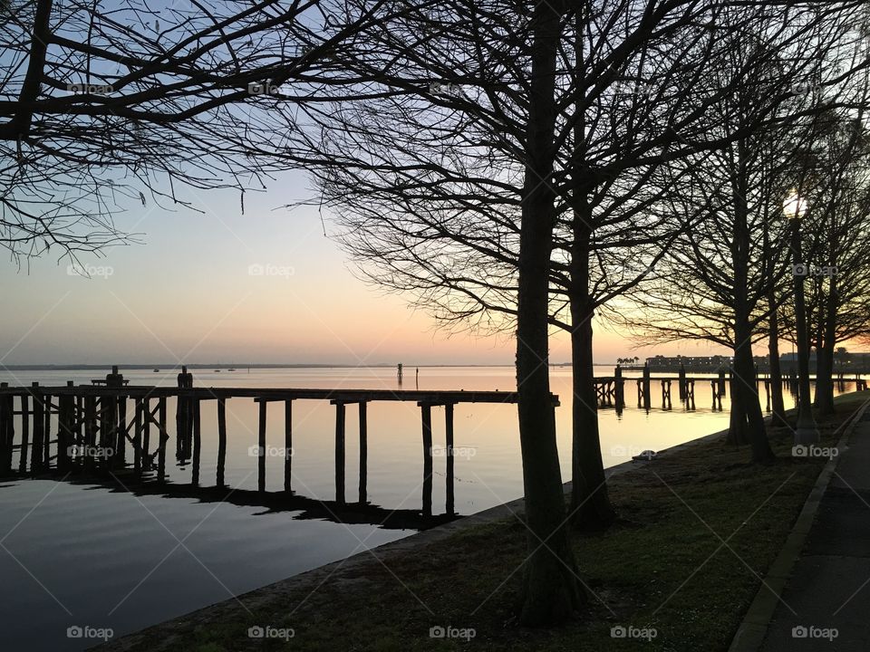 Dawn, Landscape, Sunset, Tree, Water