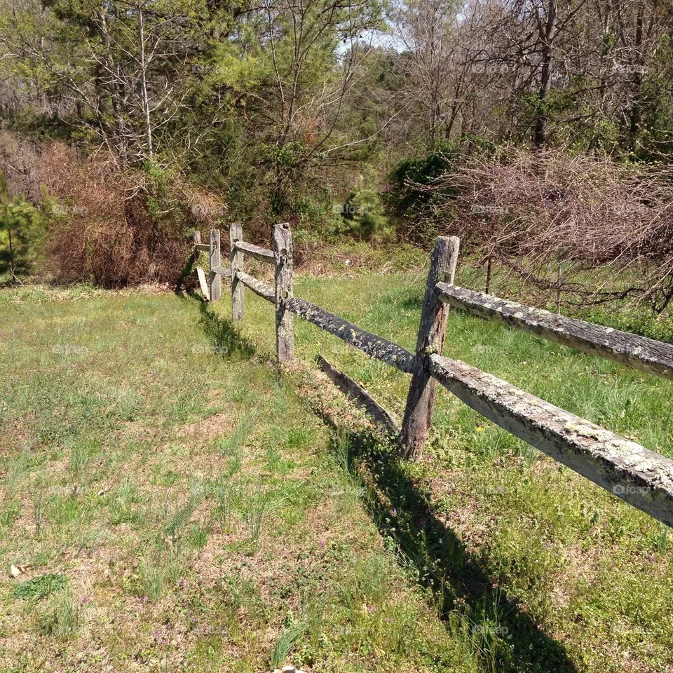 Fence