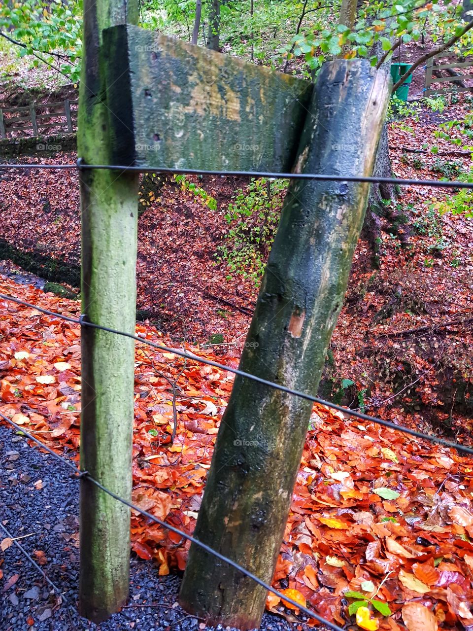 fence post