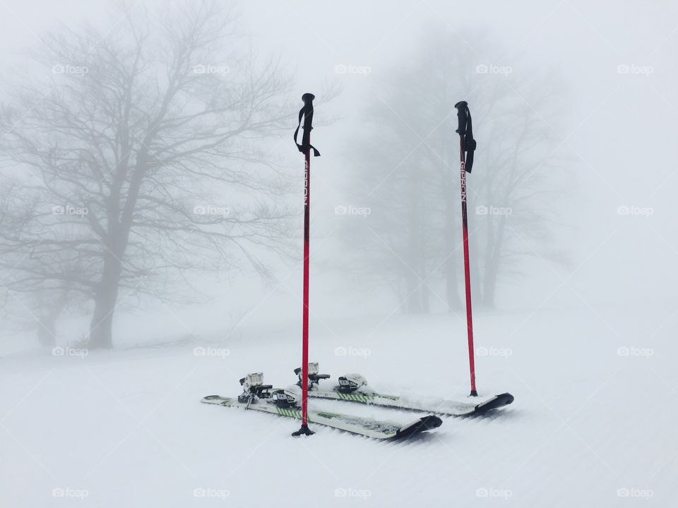 Close-up of ski pole and ski