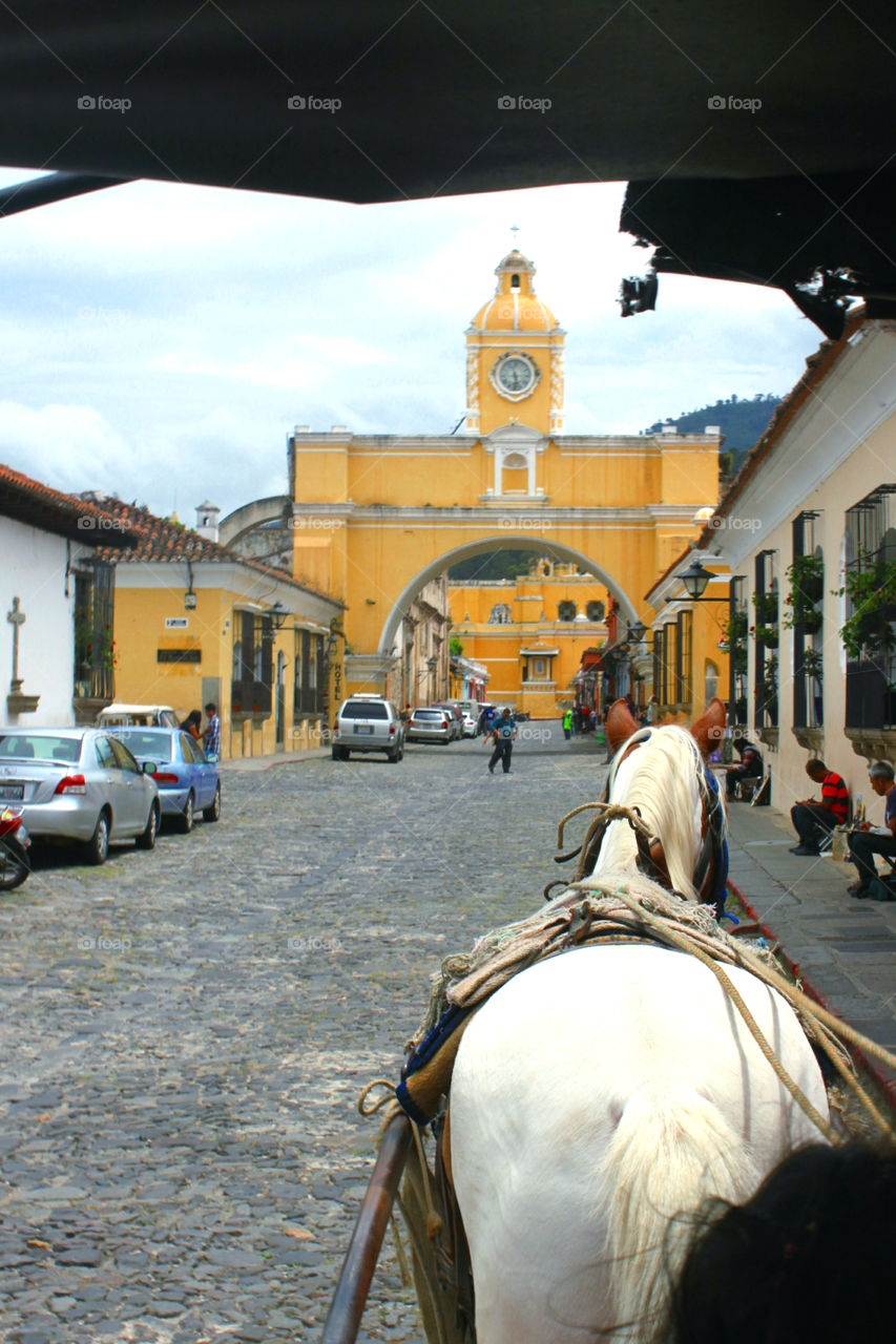 The Golden Arch